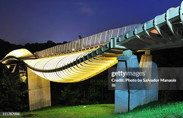 blue hour at the henderson waves - henderson waves bridge stock pictures, royalty-free photos & images