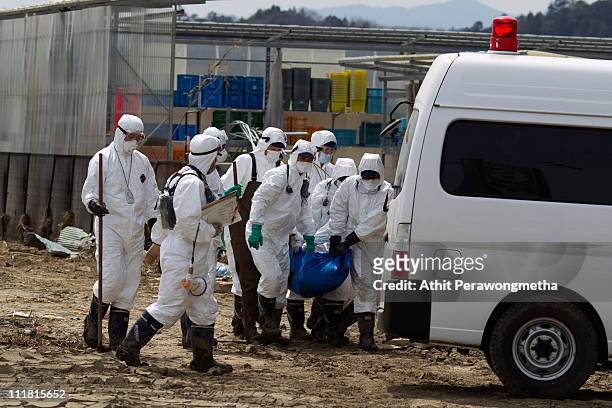 Japanese Police wearing protective suits carry a tsunami victim in a tarp within the exclusion zone, about 12 miles away from Fukushima Nuclear Power...
