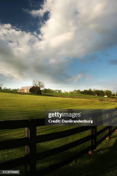 countryside - kentucky farm stock pictures, royalty-free photos & images