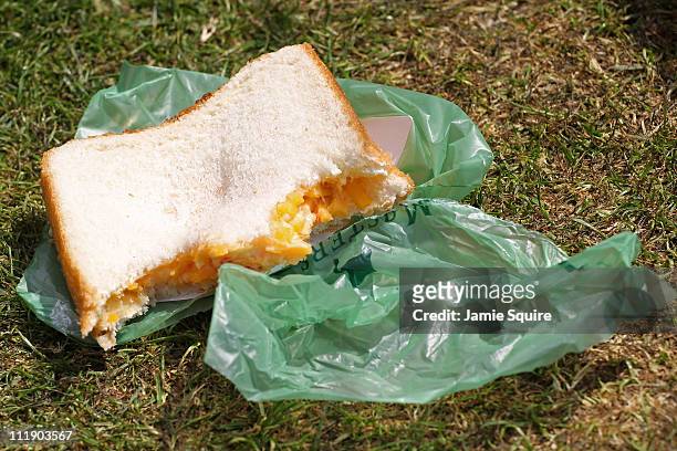 One of Augusta National's famed pimento cheese sandwiches is seen during the second round of the 2011 Masters Tournament at Augusta National Golf...