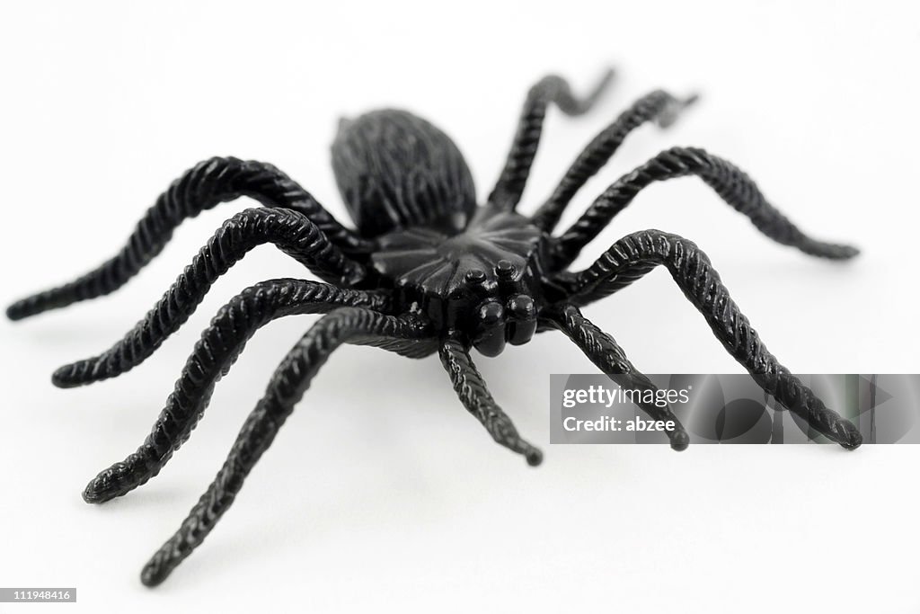 Scary Kunststoff spider für halloween