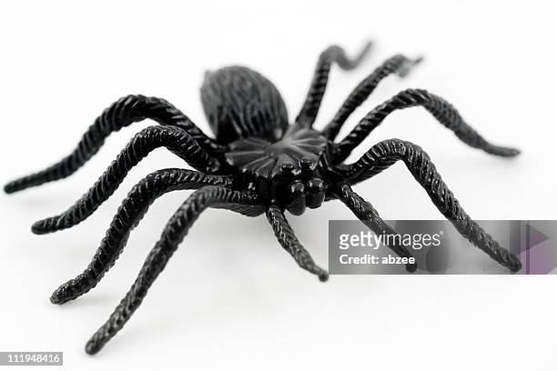 scary plastic spider for halloween - spider stock pictures, royalty-free photos & images