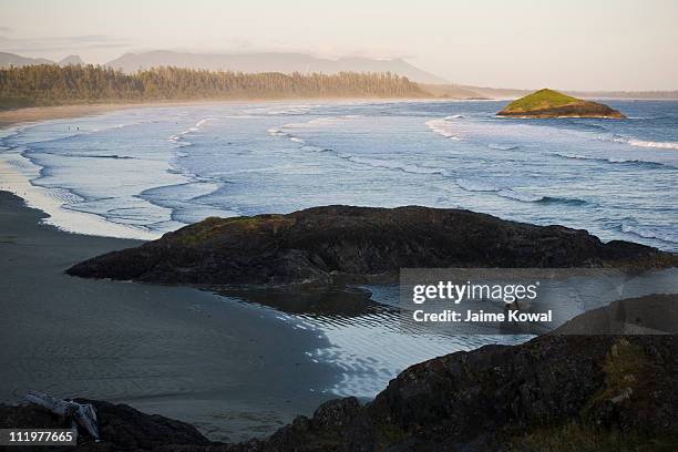 surfer at long beach, tofino, bc canada - long beach britisch kolumbien stock-fotos und bilder