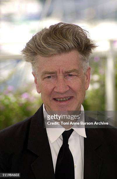 David Lynch during Cannes 2002 - "Official Jury" Photo Call at Palais Des Festivals in Cannes, France.