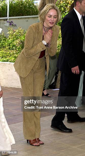 Sharon Stone during Cannes 2002 - "Official Jury" Photo Call at Palais Des Festivals in Cannes, France.