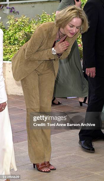 Sharon Stone during Cannes 2002 - "Official Jury" Photo Call at Palais Des Festivals in Cannes, France.