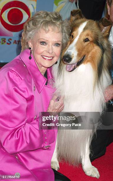 June Lockhart, who starred on the TV Show "Lassie" with Lassie