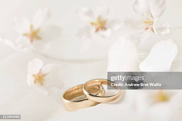 wedding rings against lace, flowers & confetti - fede nuziale foto e immagini stock