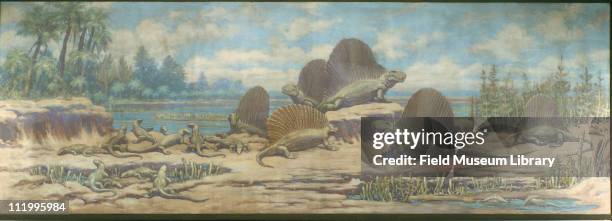 Permian Reptiles and Amphibians, Dimetrodon Paleozoic includes Edaphosaurus, Casea, mid to late 20th century. Painting by Charles R. Knight.