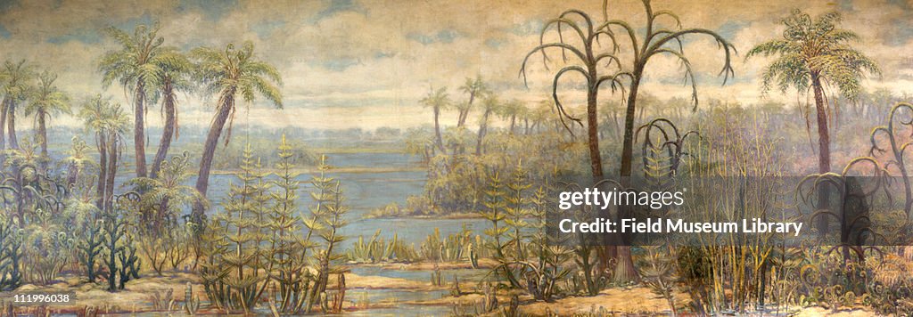 Early Land Plants