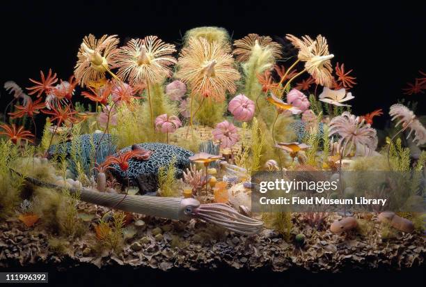 New Silurian Sea Life Diorama, shows Chicago area fossils, 1994.