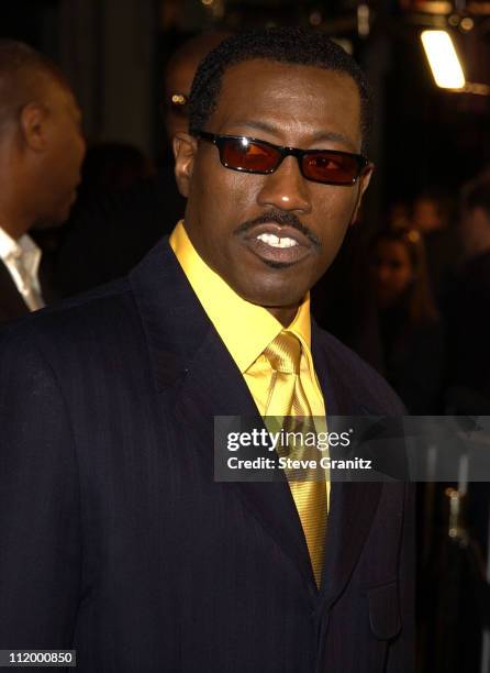 Wesley Snipes during "Blade II" Premiere at Gramun's Chinese Theater in Hollywood, California, United States.