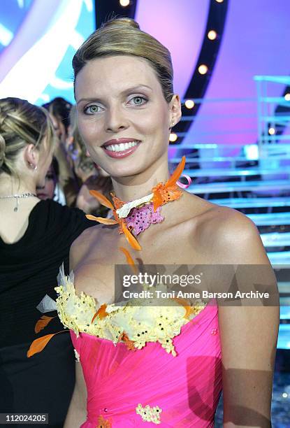 Sylvie Tellier - Miss France 2002 during "Miss France 2005" Pageant at Theatre Vinci in Tours, France.