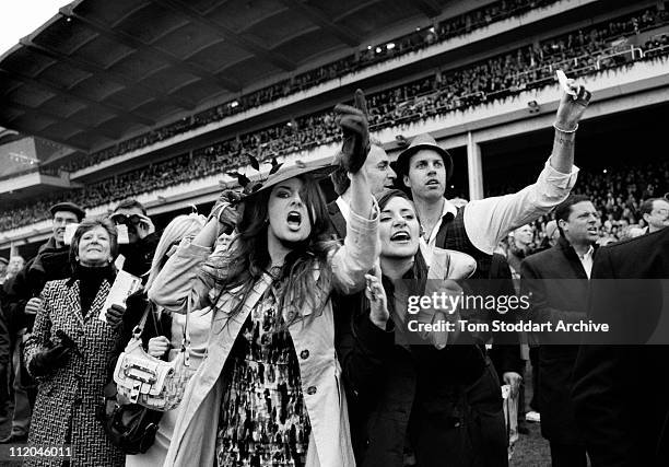 Scenes from the 2011 Cheltenham centenary Festival. The world famous race meeting attracted huge crowds of spectators to watch racings elite jockeys...