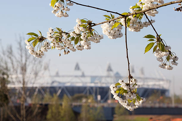 GBR: London 2012 Olympic Park - Spring Views