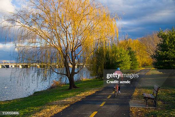 potomac pista ciclabile - potomac foto e immagini stock