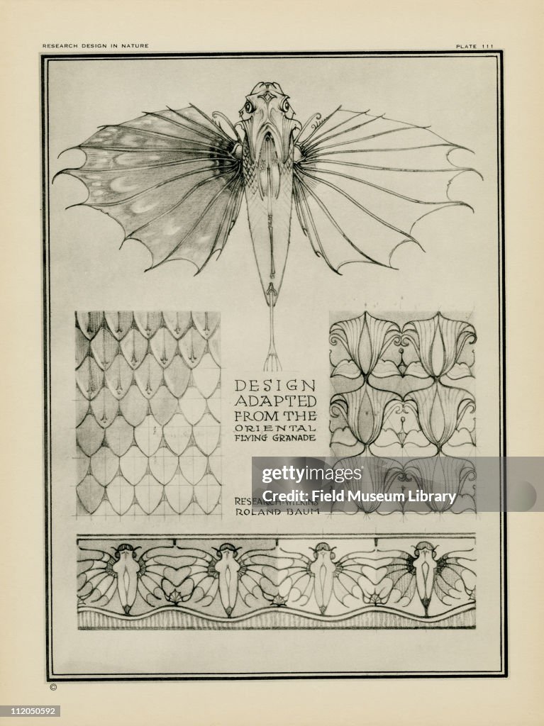 Flying Fish Layout Black and white drawings of designs adapted from the Oriental Flying ...