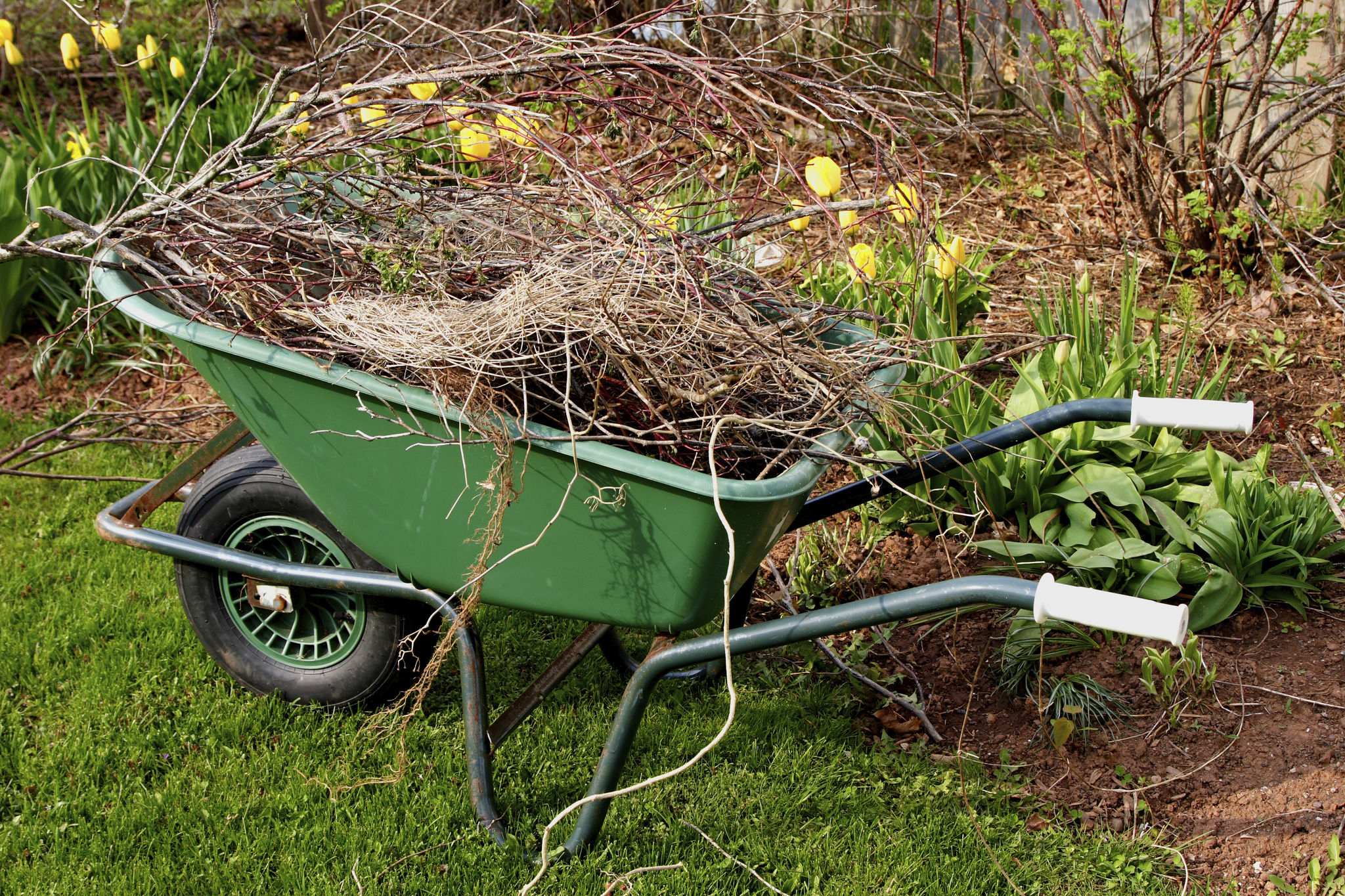 spring lawn cleanup