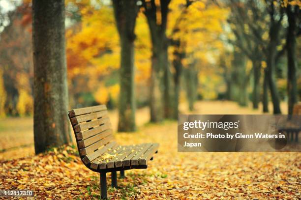 take a seat and enjoy the view - panchina foto e immagini stock