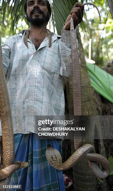 In this file photograph taken on August 17, 2010 an Indian snake charmer gestures as he display snakes which he claims are poisonous 'Gokhra' to...