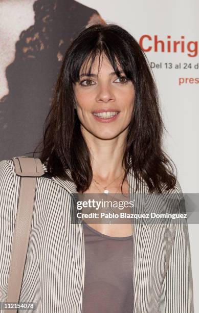 Spanish actress Maribel Verdu attends 'La Maleta de los Nervios' photocall at Canal Theatre on April 13, 2011 in Madrid, Spain.