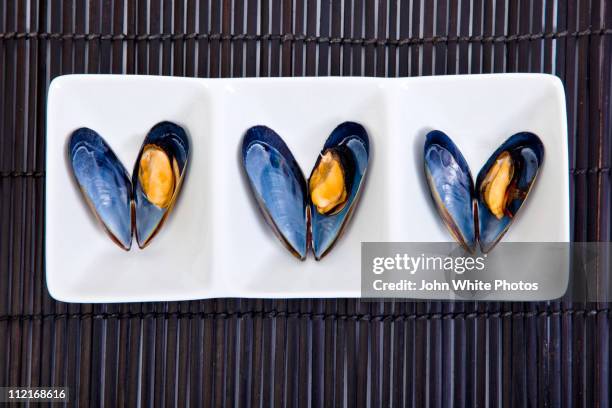 mussels - moule photos et images de collection