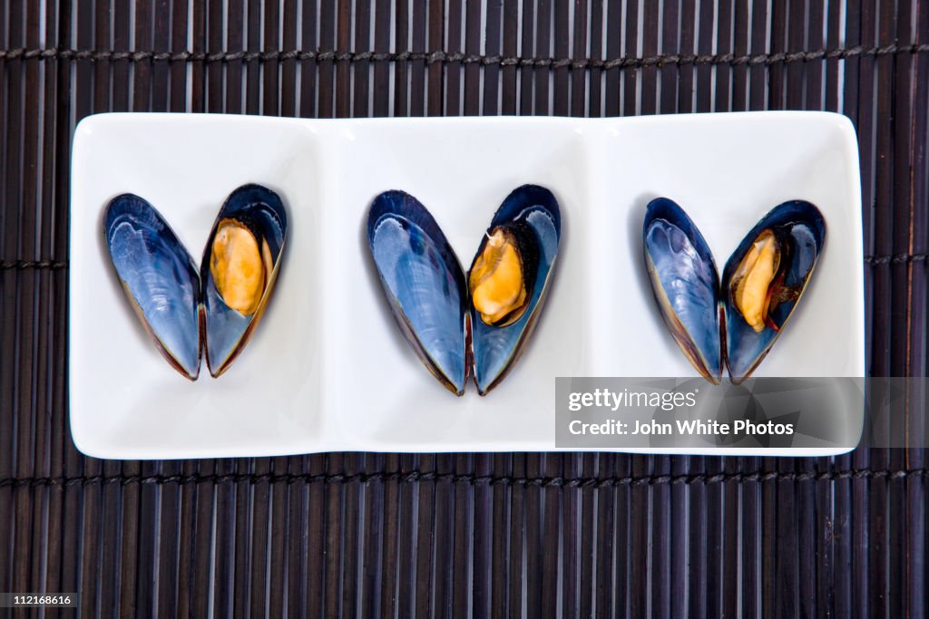 Mussels