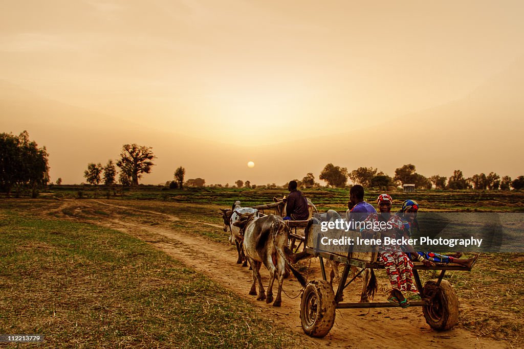 Sunset In Argungu