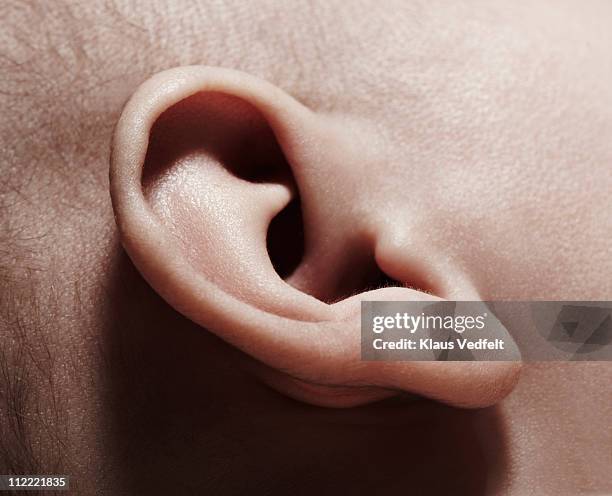 close-up of baby ear - extreme close up baby stock pictures, royalty-free photos & images