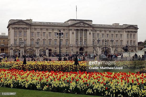 Blossom and spring flowers bloom in front of Buckingham Palace before the Royal Wedding on April 15, 2011 in London, England. Stands, media...