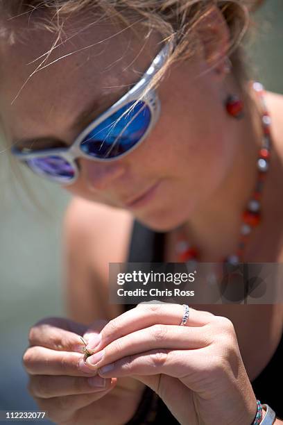 a close up of a female looking down and tying a fly to her line. - fishing hook and line stock pictures, royalty-free photos & images