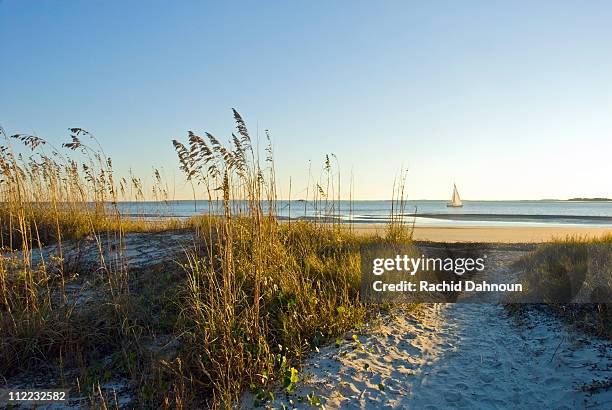 a sand pathway leads to the beach with a sailboat in the background on hilton head island, sc. - carolina del sud foto e immagini stock