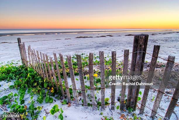 a beach fence at sunset on hilton head island, south carolina. - hilton head stock pictures, royalty-free photos & images