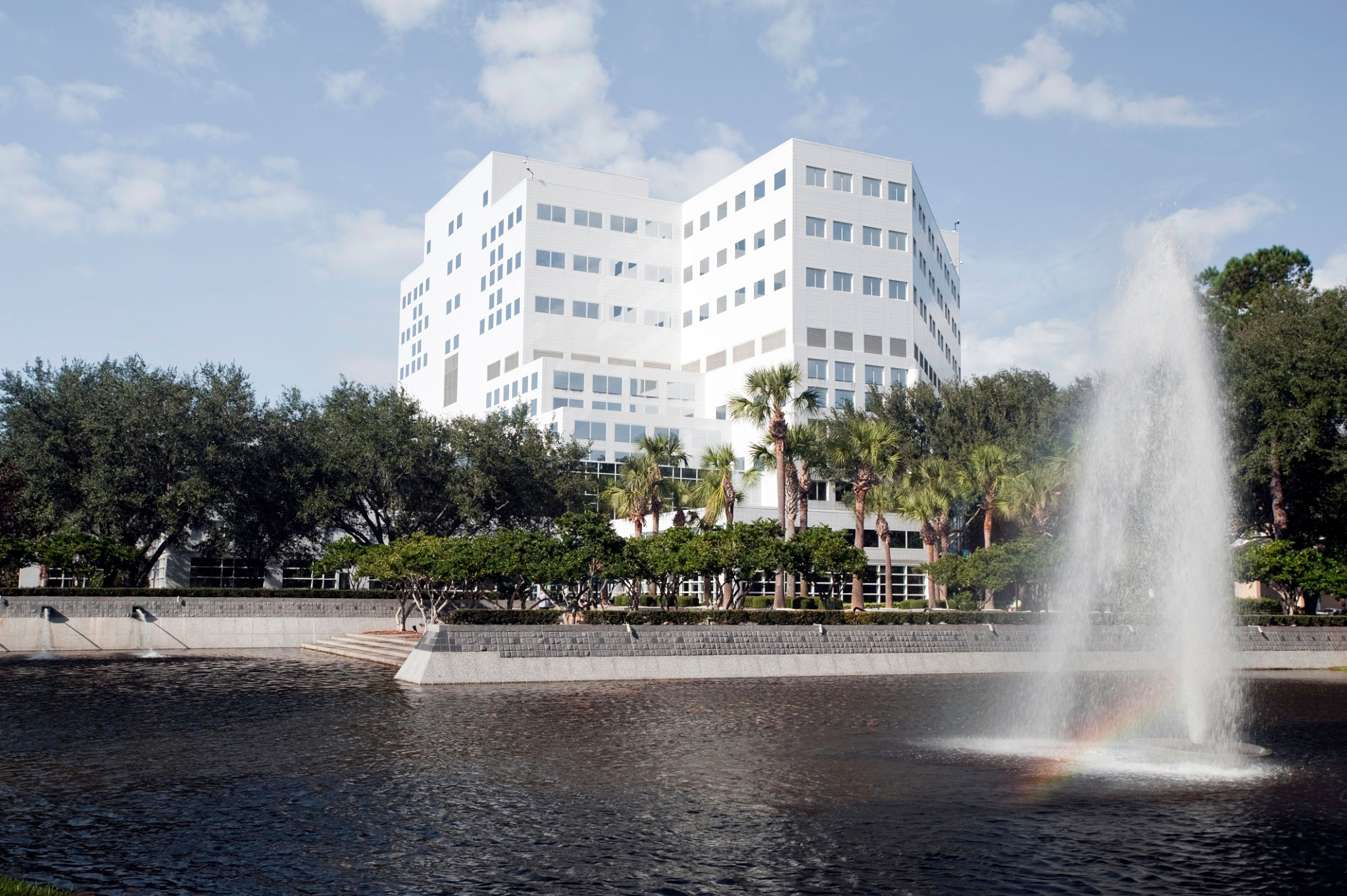 rochester healthcare