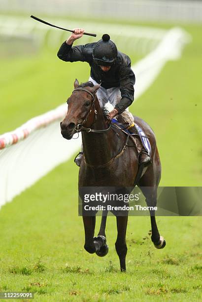 Brad Rawiller riding Absolutely wins the Patinack Farm 100th AJC Oaks during Emirates Doncaster Day at Royal Randwick Racecourse on April 16, 2011 in...