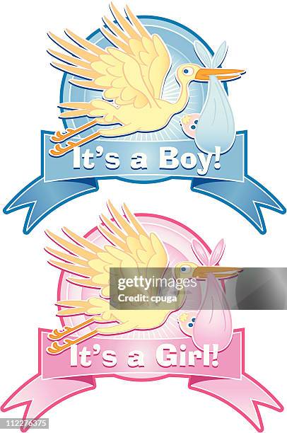 it's a boy and girl! - stork vector stock illustrations