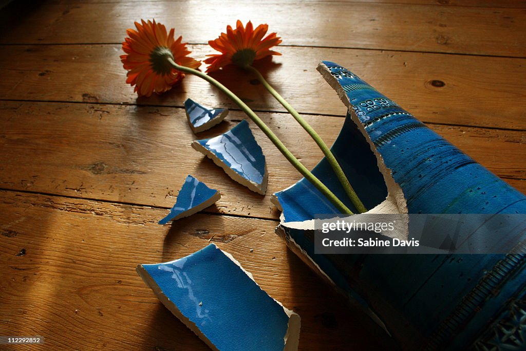 A broken vase with flowers