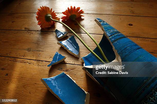 a broken vase with flowers - broken vase stock pictures, royalty-free photos & images