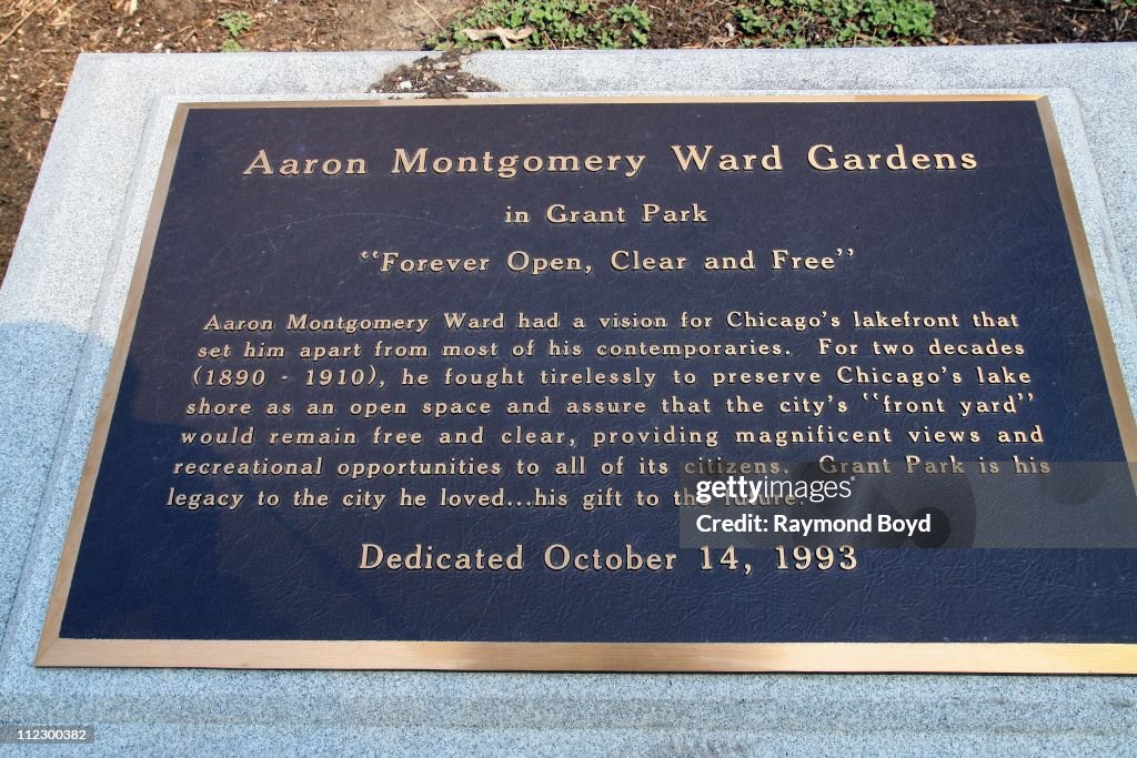 Chicago Cityscapes And City Views