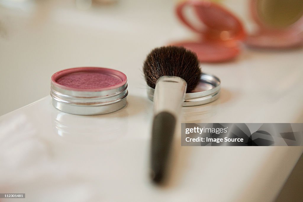 Blusher brush and blusher