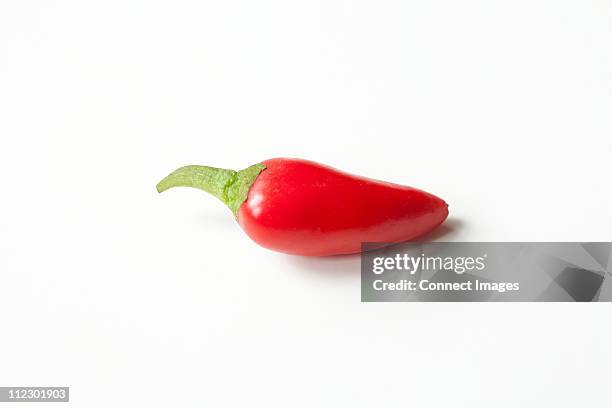 red chilli pepper on white background - roter chili stock-fotos und bilder
