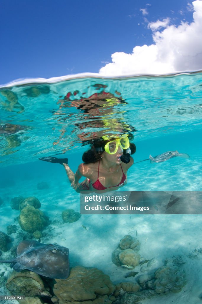 Over/under of snorkeler and ray