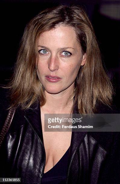 Gillian Anderson during George Michael's "A Different Story" Gala London Screening - Outside Arrivals at Curzon Mayfair in London, Great Britain.