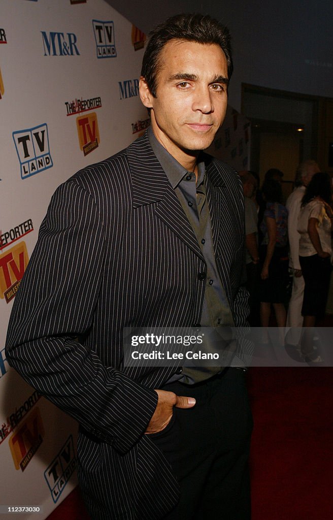 The Hollywood Reporter and Museum of Television and Radio TV Milestones Cocktail Reception - Arrivals