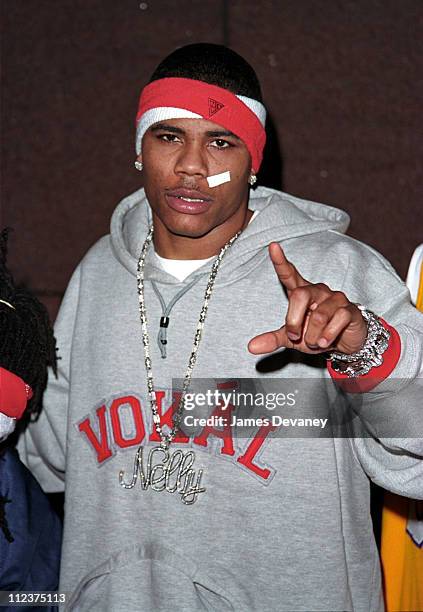 Nelly during Michael Jackson's 30th Anniversary Celebration at Madison Square Garden - Arrivals at Madison Square Garden in New York, NY, United...