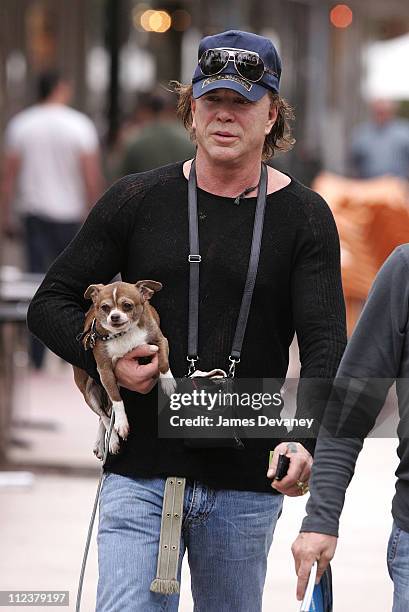 Mickey Rourke Miami 18 Mickey Rourke Sighting In South Beach Stock Photos, High-Res ...