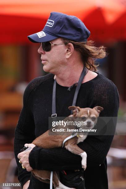 Mickey Rourke Miami 18 Mickey Rourke Sighting In South Beach Stock Photos, High-Res ...