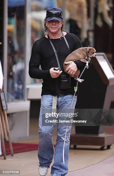 Mickey Rourke Miami Mickey Rourke Sighting In South Beach Photos and Premium High Res ...