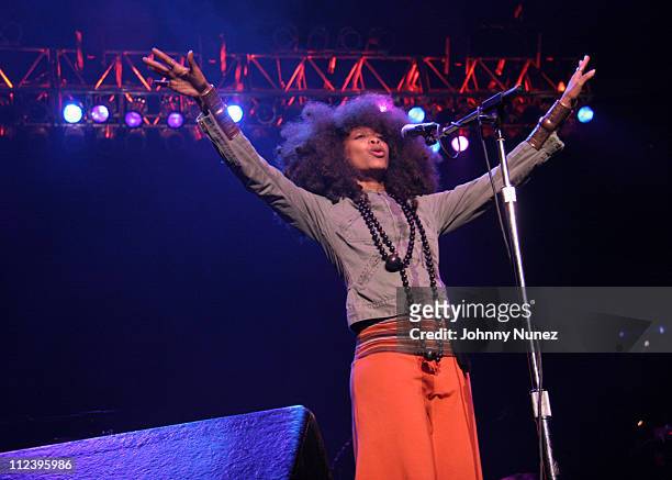 Erykah Badu during Millions More Movement "We Are Family" Grand Finale Concert - Show at MCI Center in Washington, D.C., United States.