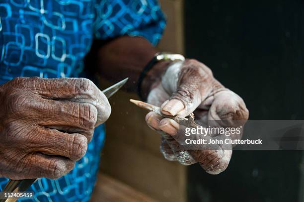 aboriginal woman and dot brush - regional western australia stock pictures, royalty-free photos & images